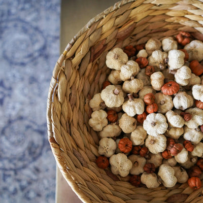 Dried Mini Pumpkin Pods, Calla Collective, mini pumpkin, vase filler ideas, vase filler balls, large vase filler, pumpkin vase filler, modern vase filler ideas, fall vase filler ideas, fall vase filler, cheap vase filler ideas, hobby lobby vase filler, tall vase filler ideas, mini pumpkin vase filler, faux pumpkin vase filler, mini white pumpkin vase filler, small white pumpkin vase filler, faux mixed pumpkin vase filler