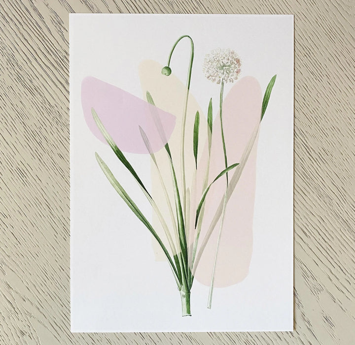 Pastel Botanical Art Print - Calla Collective