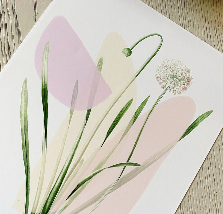 Pastel Botanical Art Print - Calla Collective